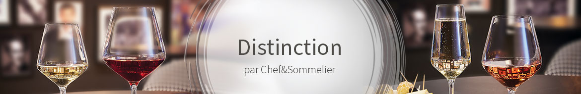 Distinction Distinction