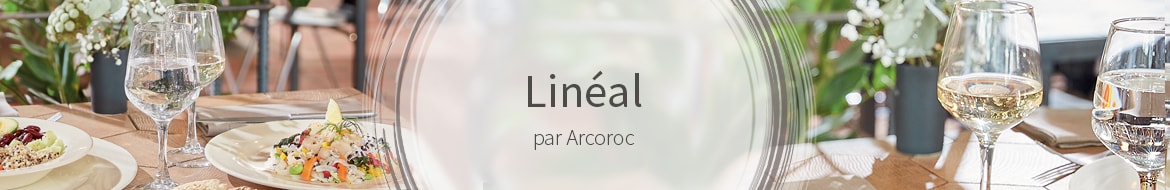 Lineal Lineal