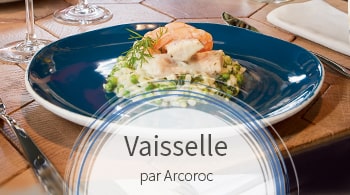 Vaisselle pour professionnels Arcoroc